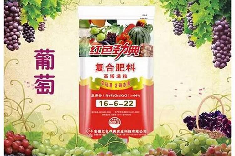 控释肥哪家好？