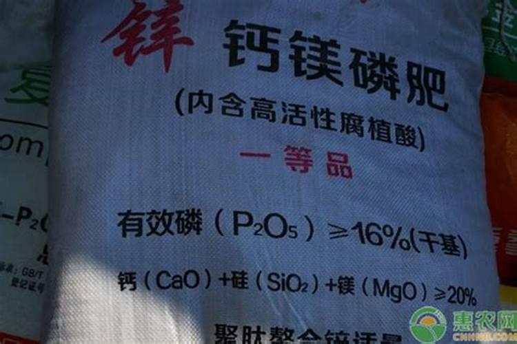 金秋砂糖橘栽培技术