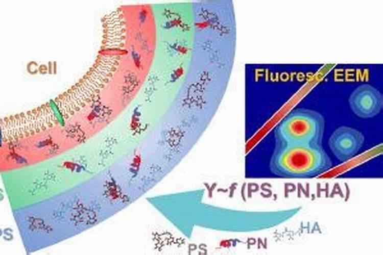 腐植酸肥料的作用和使用方法