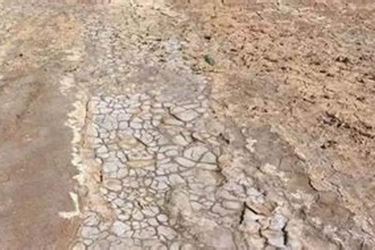 盐碱地适合上二胺和尿素吗、？越详细越好？