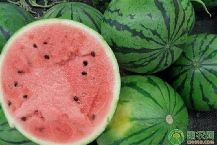 西瓜施什么肥料最甜？