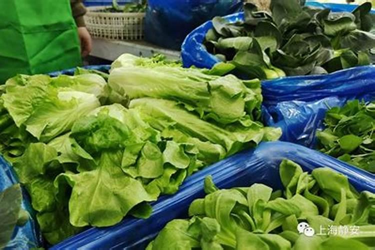 水果蔬菜需要哪些肥料