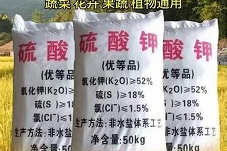 玉米施什么肥最好