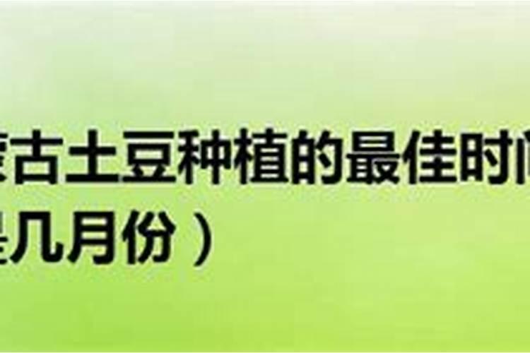 白茶什么时候施肥好？
