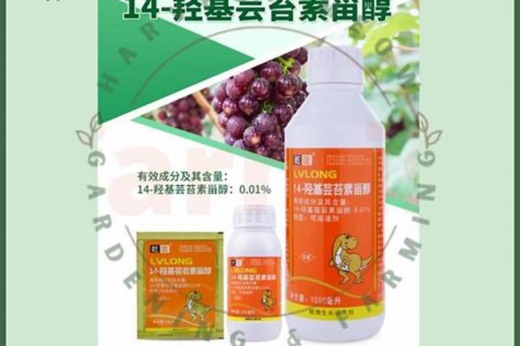 芸苔素到底该如何选,天然芸苔素效果会更好吗？