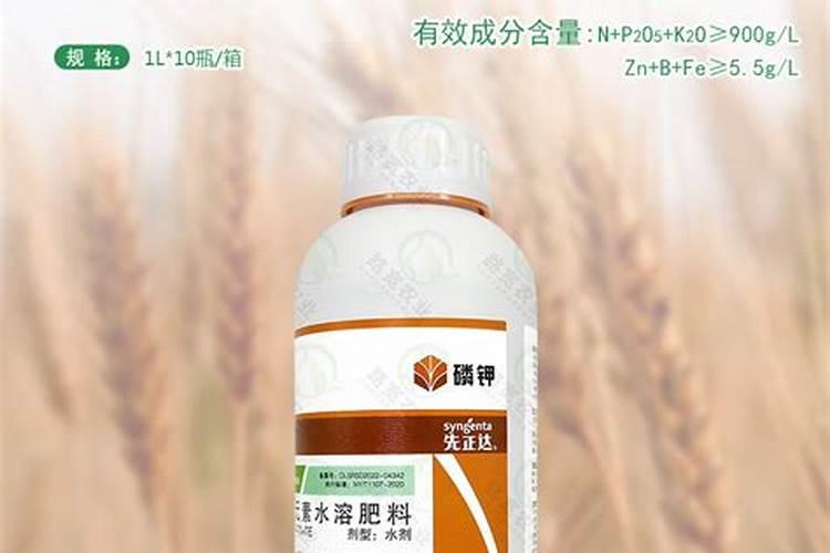 怎样快速解多效唑药害