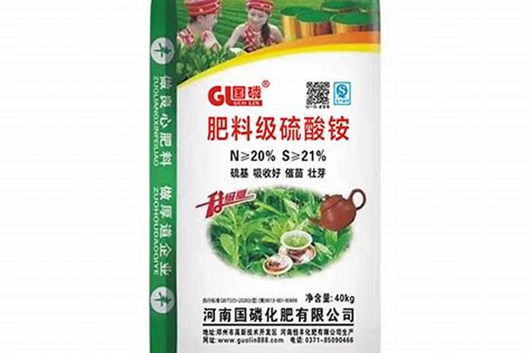 为什么栀子花老是出现黄叶呢？