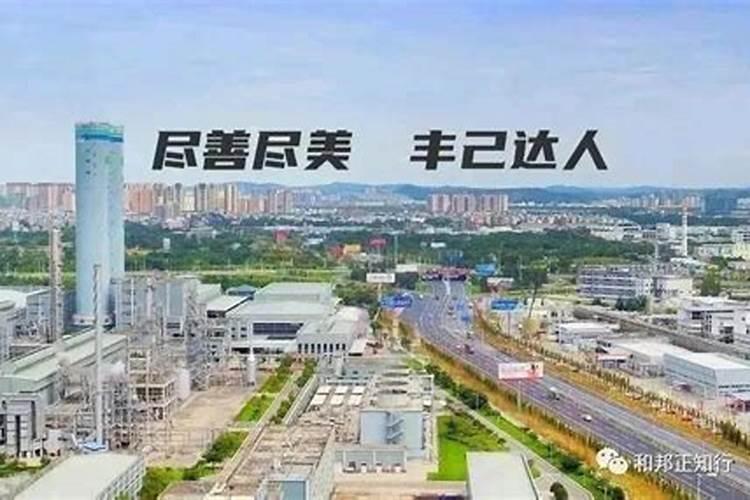 600748股吧化肥股票龙头股一览表