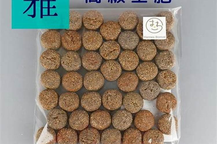 铁树用玉肥可以吗？