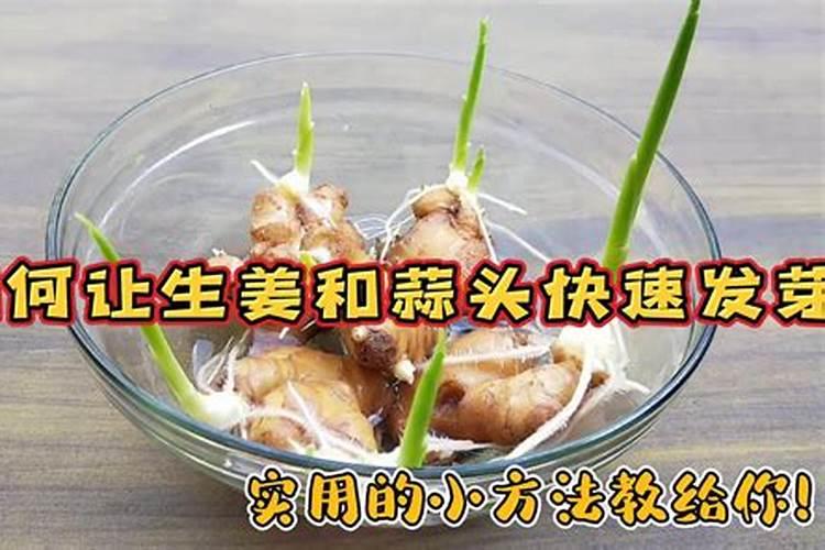 生姜苖期施什么化肥好 生姜怎么施肥