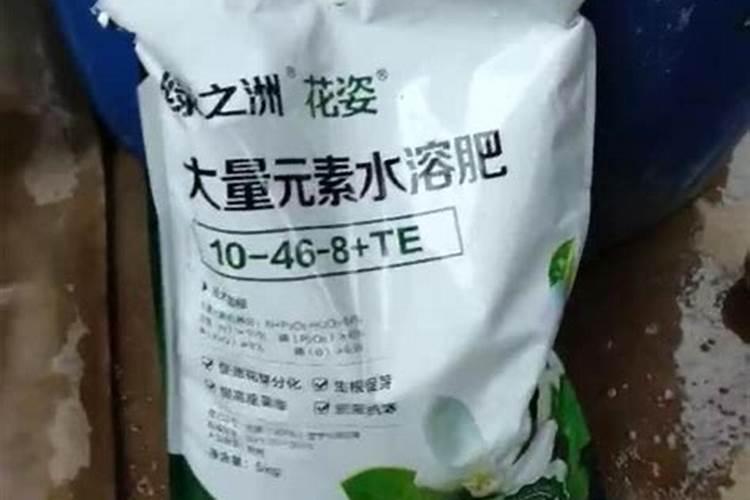 水养植物施什么肥好