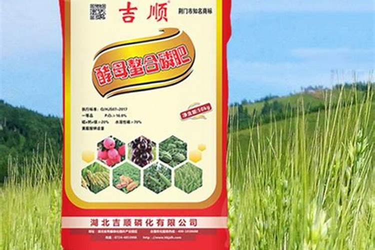 聚磷酸铵肥料的优点有哪些