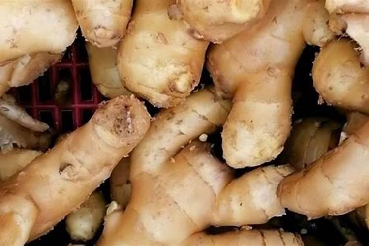 苹果树用什么肥料进行追肥