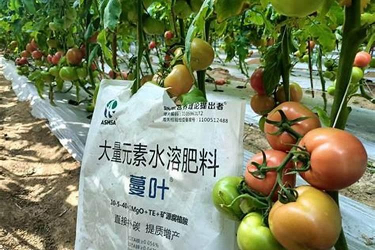 金正大水溶肥褪去高端外衣,走进寻常百姓家
