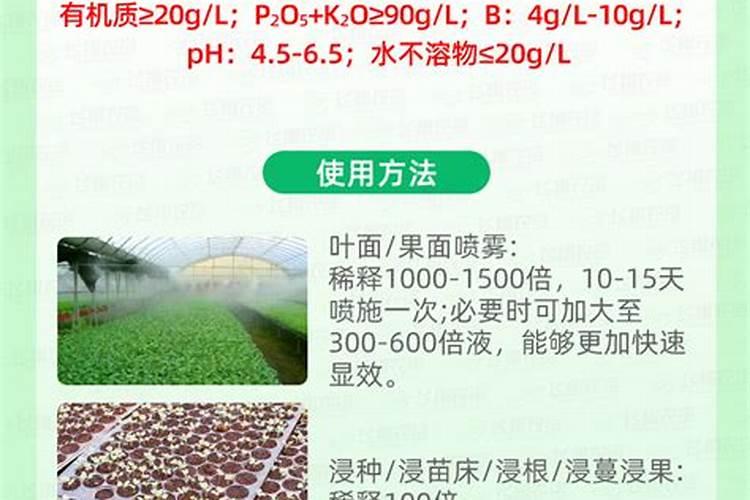 海藻精的正确使用方法