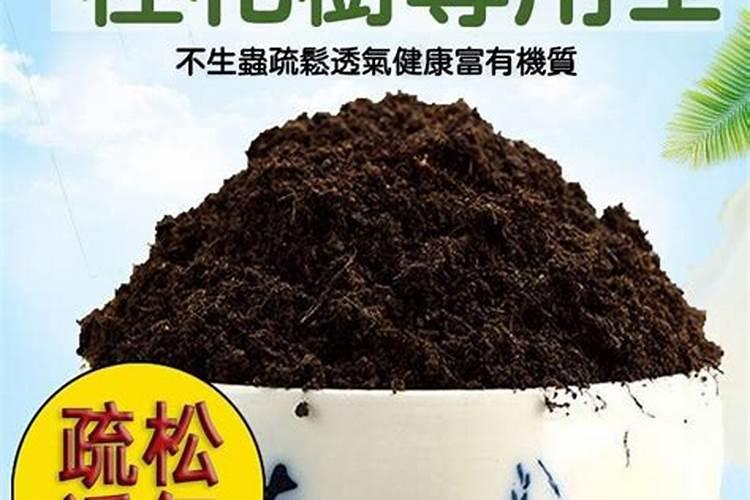 请问桂花老叶卷曲,新芽枯萎,就像用火烧了一样,是怎么回事,怎么处理啊...