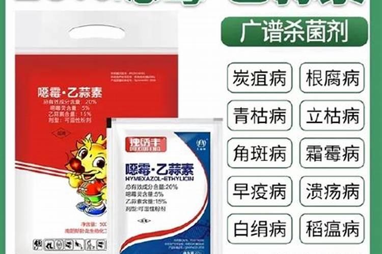 小麦苗期叶片发黄干枯是什么原因 小麦苗期可以打什么药