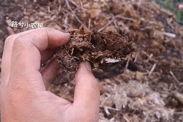 养花用的有机肥有那些