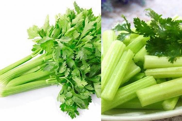 芹菜施什么肥长得好