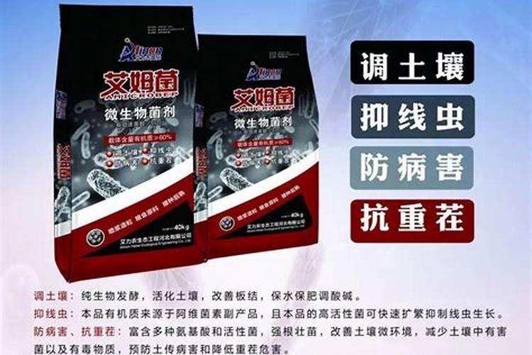 菌肥和菌剂哪个效果好
