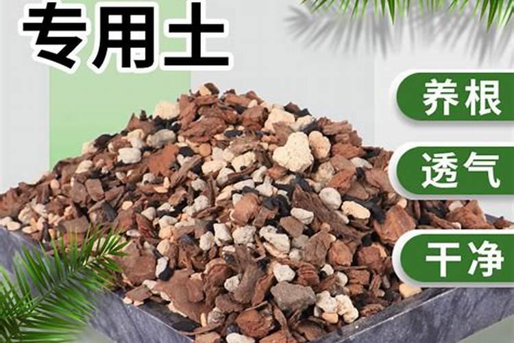 种松树一般施什么肥料