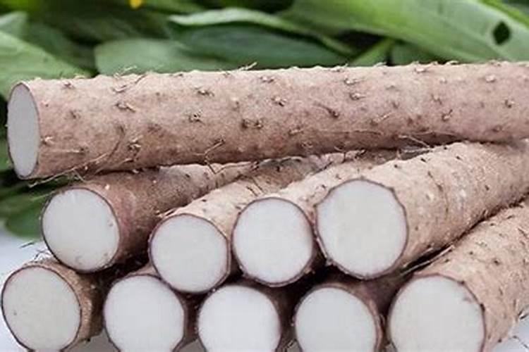 种山药用什么肥料最好