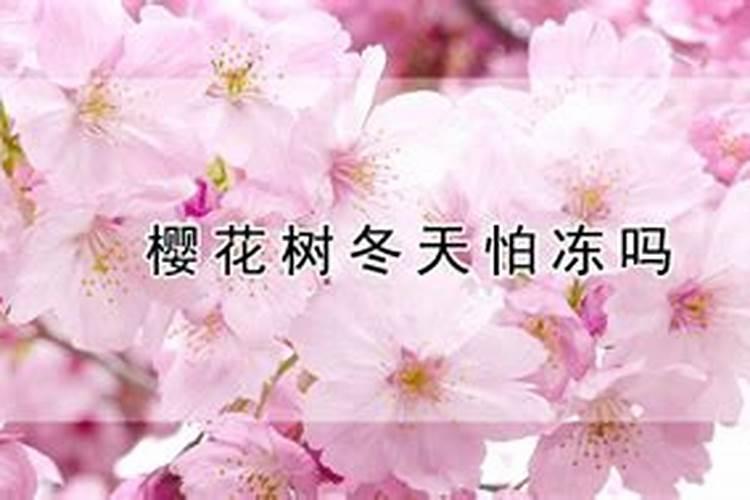 如何正确使用磷酸二氢钾