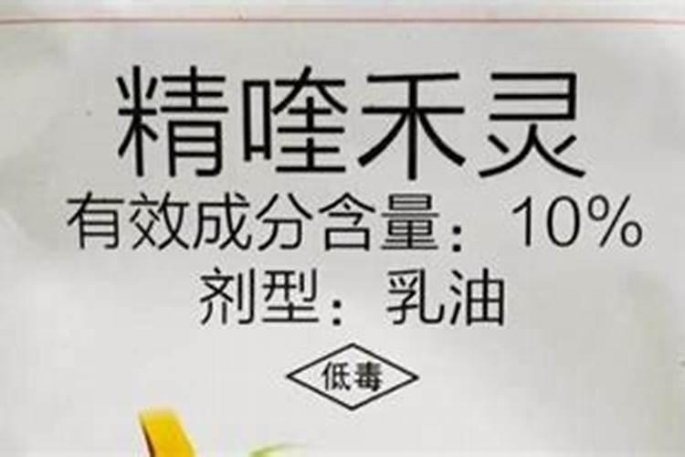 打了精喹禾灵可以施肥吗