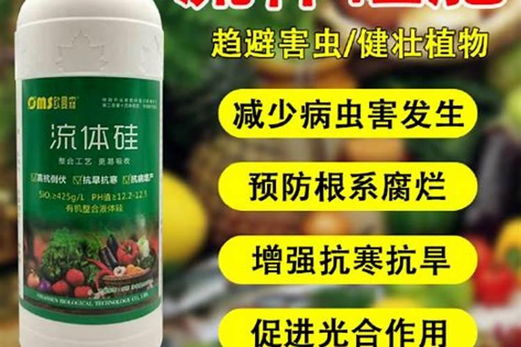养花的营养液怎么用