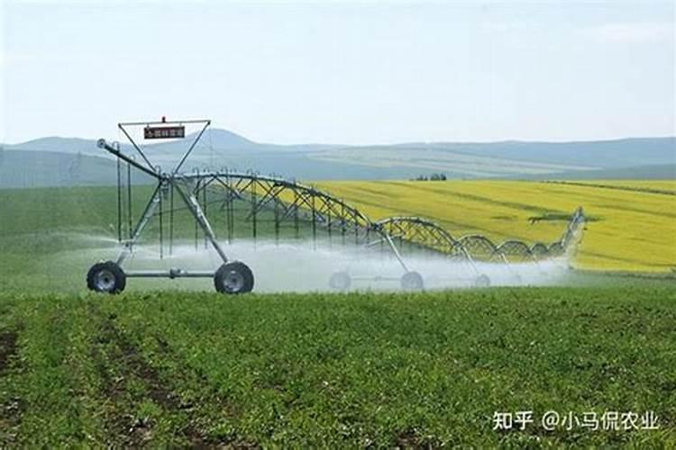 茄子施肥是坑施好还是撒施好