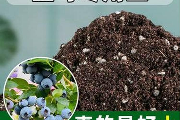 蓝莓浇腐殖酸水溶肥好吗？