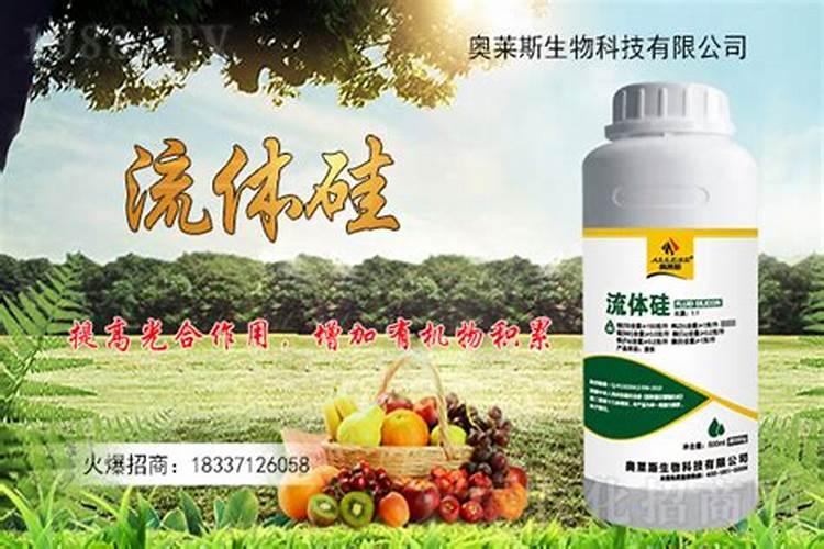 硅肥有哪些