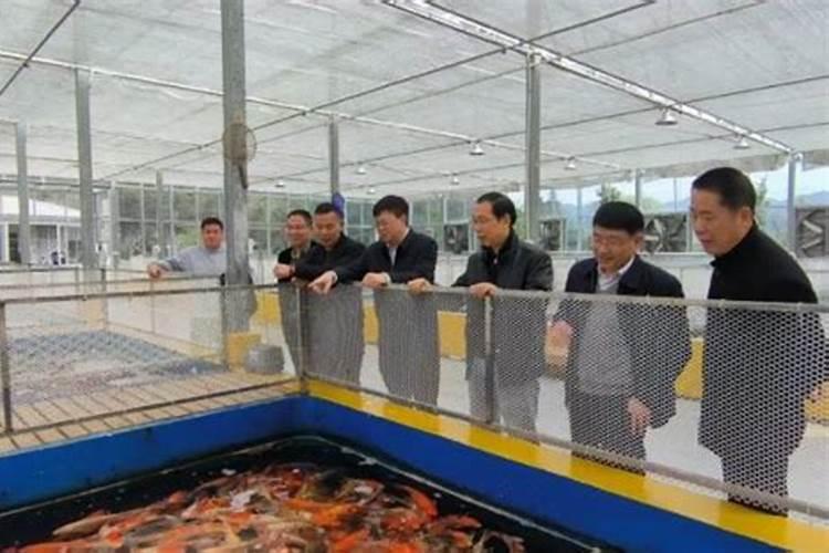 中国各地都有哪些美食,最好一个省一个省的介绍可以告诉我么？