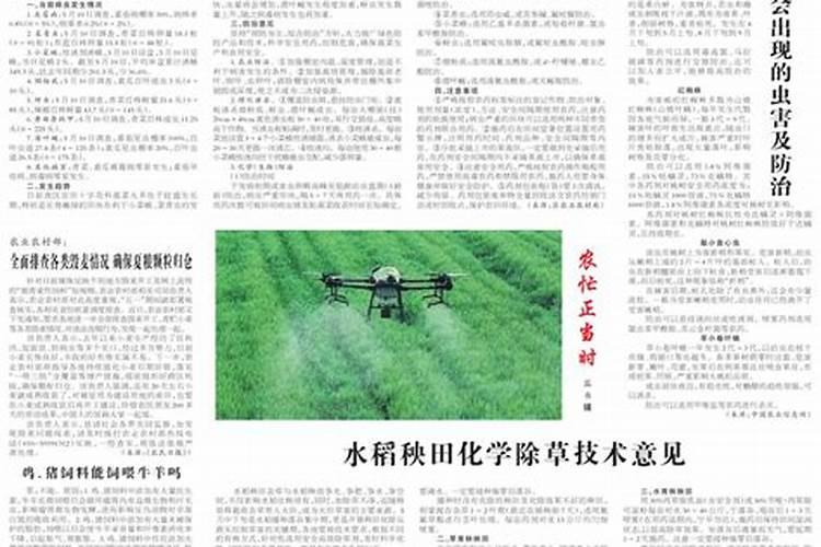 在阳台种植苦瓜必须施肥吗？是什么肥？
