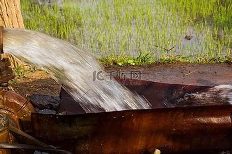 番茄田间栽培管理时,需要什么时期浇水？常用方法有哪些？