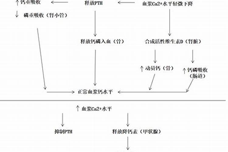 过磷酸钙和钙镁磷肥有什么区别？这两种肥料哪种更好？