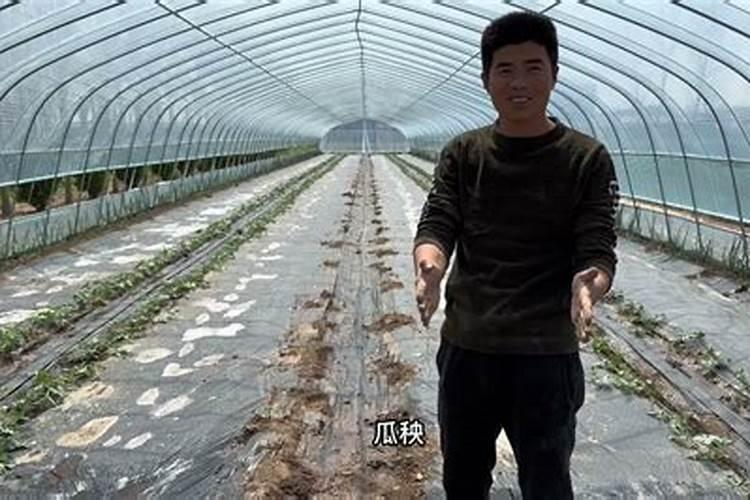 大棚西瓜用的冲施肥是多少次性投入还是一次性投入？