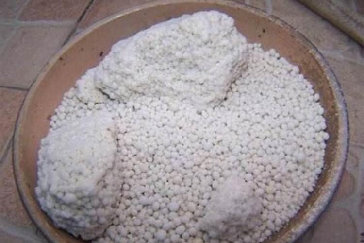 叶面肥加什么浇花最好用