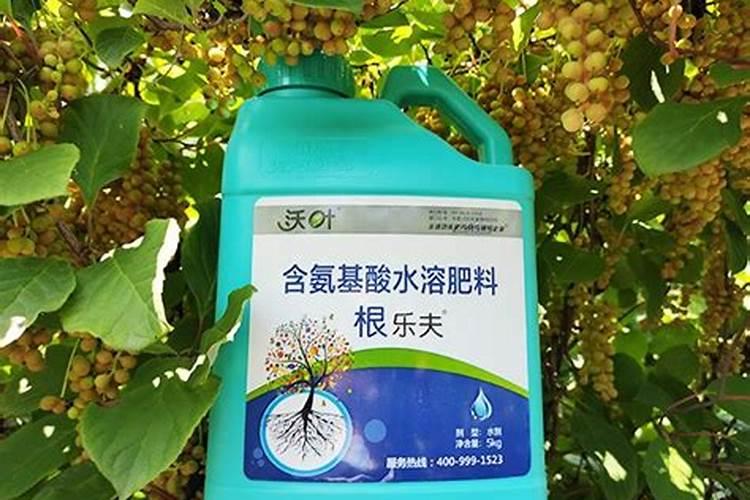 白头翁打什么除草剂？
