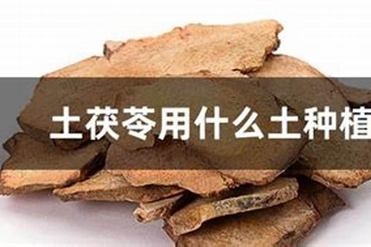 黄芪怎么除草,要用什么除草剂？黄芪在什么温度下除草最安全？