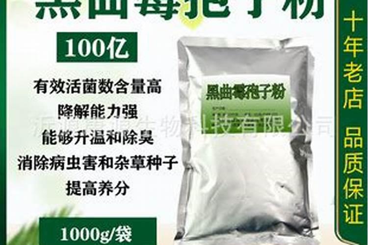 哪些领域一般用枯草芽孢杆菌比较多呢