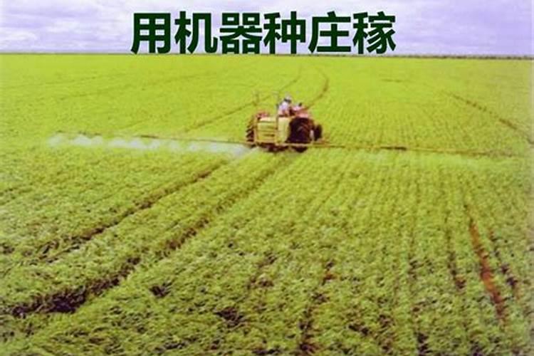 钾肥过量有什么危害科学施肥