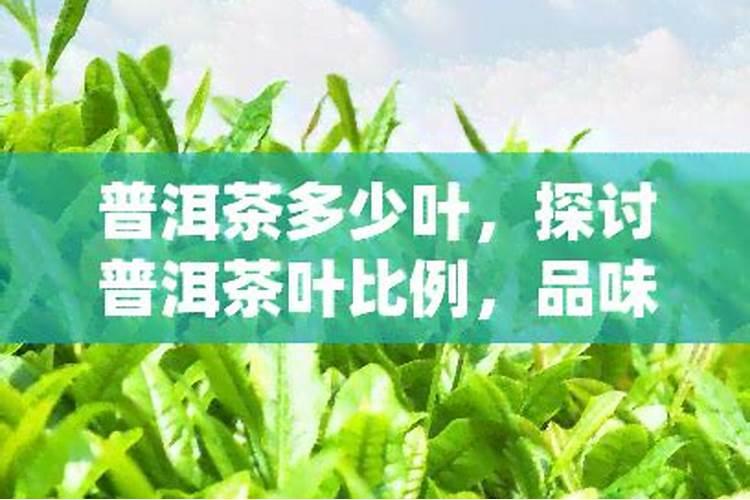 茶叶的用肥方法