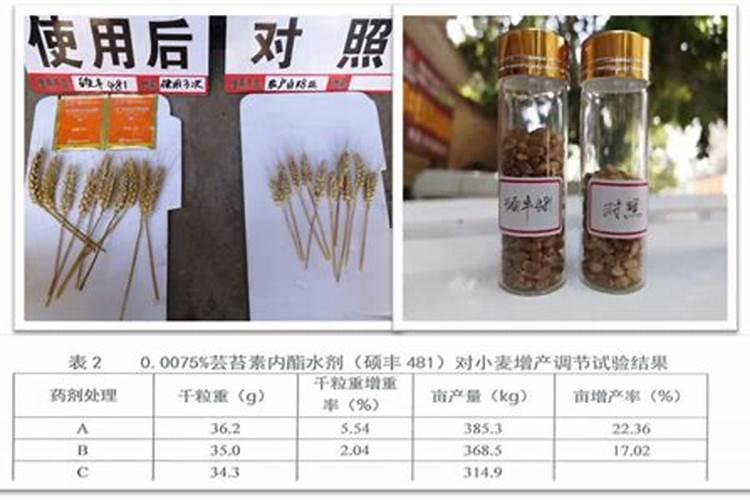 冬天打芸苔素管用吗