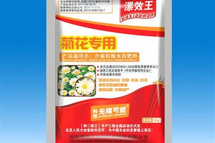 菊花怎么施肥 用什么肥料好