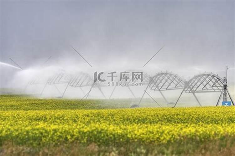 油菜追肥用什么肥料好