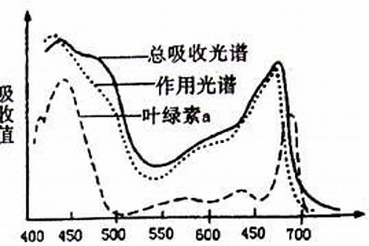 花生用什么叶面肥好 花生施肥注意事项