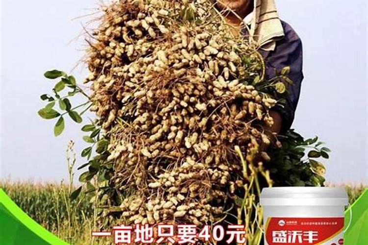 磷肥种花生怎么使用