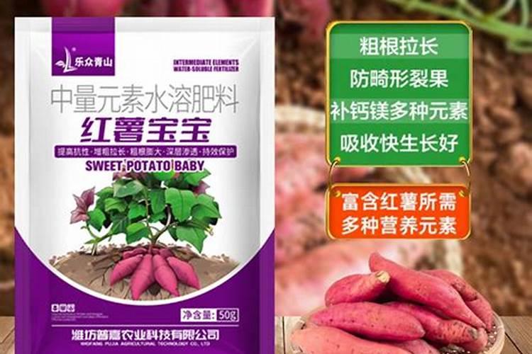 马铃薯微型薯肥料过量造成肥害怎么治疗及方法
