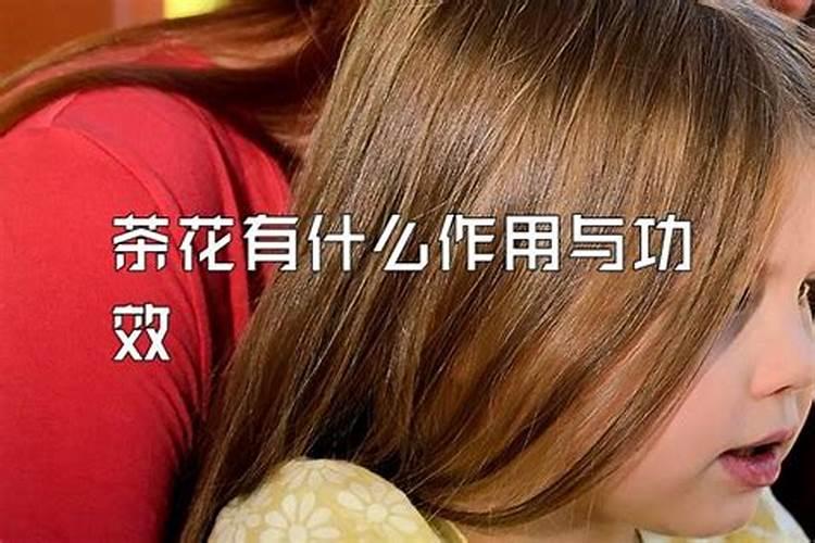 山茶花泡茶的功效作用与药用偏方